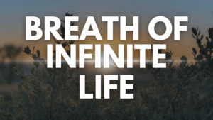 Breath-Of-Infinite-Life